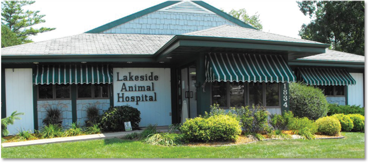 About | Lakeside Animal Hospital